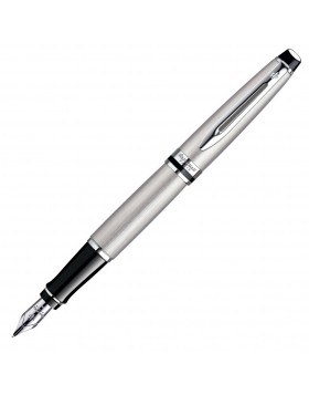 Waterman Expert III Stainless Steel CT Fountain pen 